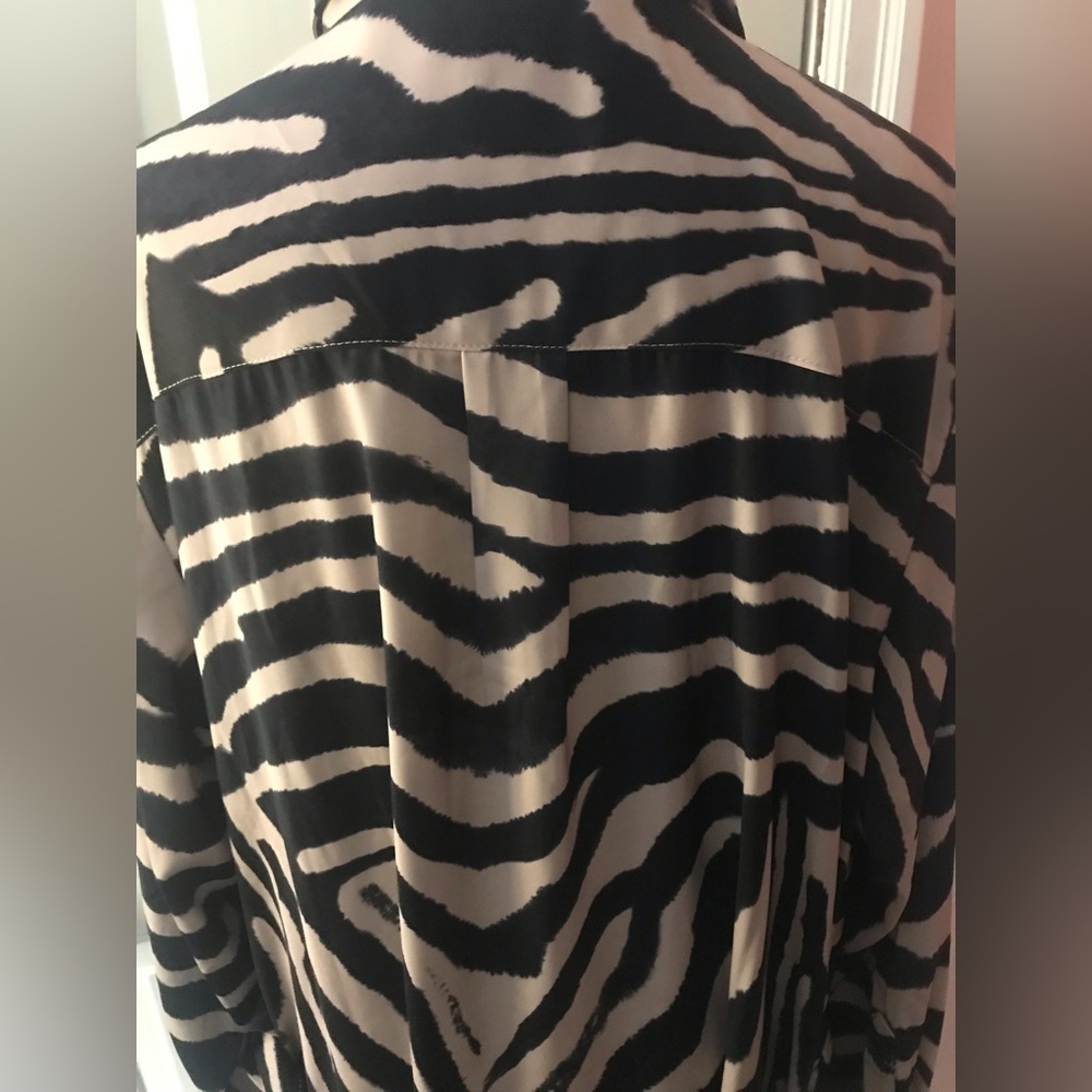 ⭐️Host pick⭐️DG2 animal print dress  with hidden front button closure - Picture 2 of 9